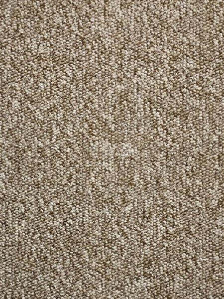 Ковролин AW Loop Loop 2395 фото 1 | FLOORDEALER